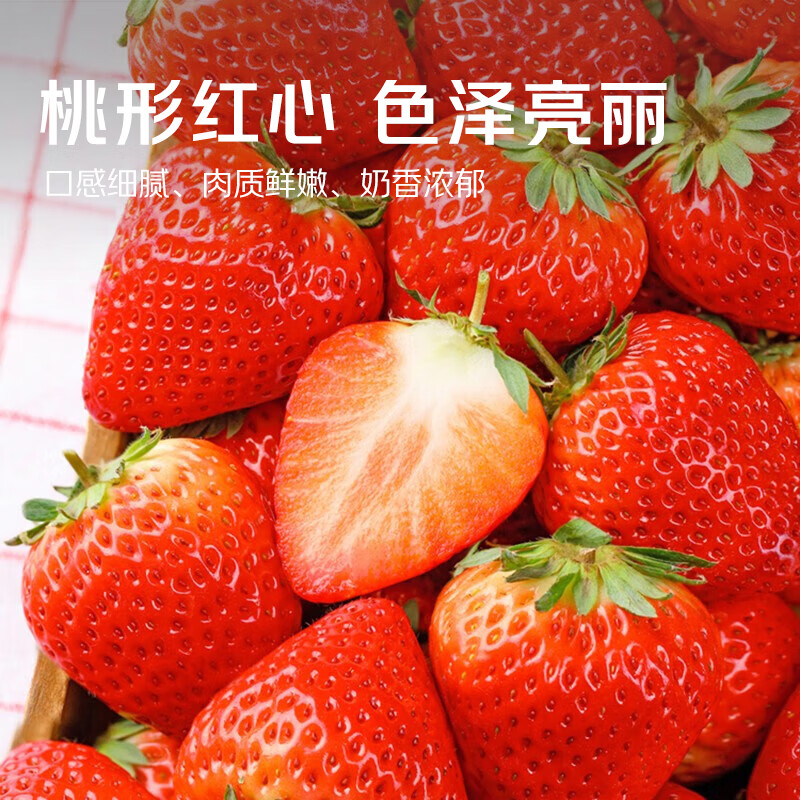 A【当日采摘】丹东九九草莓顺丰包邮牛奶红颜草莓新鲜水果精选大果