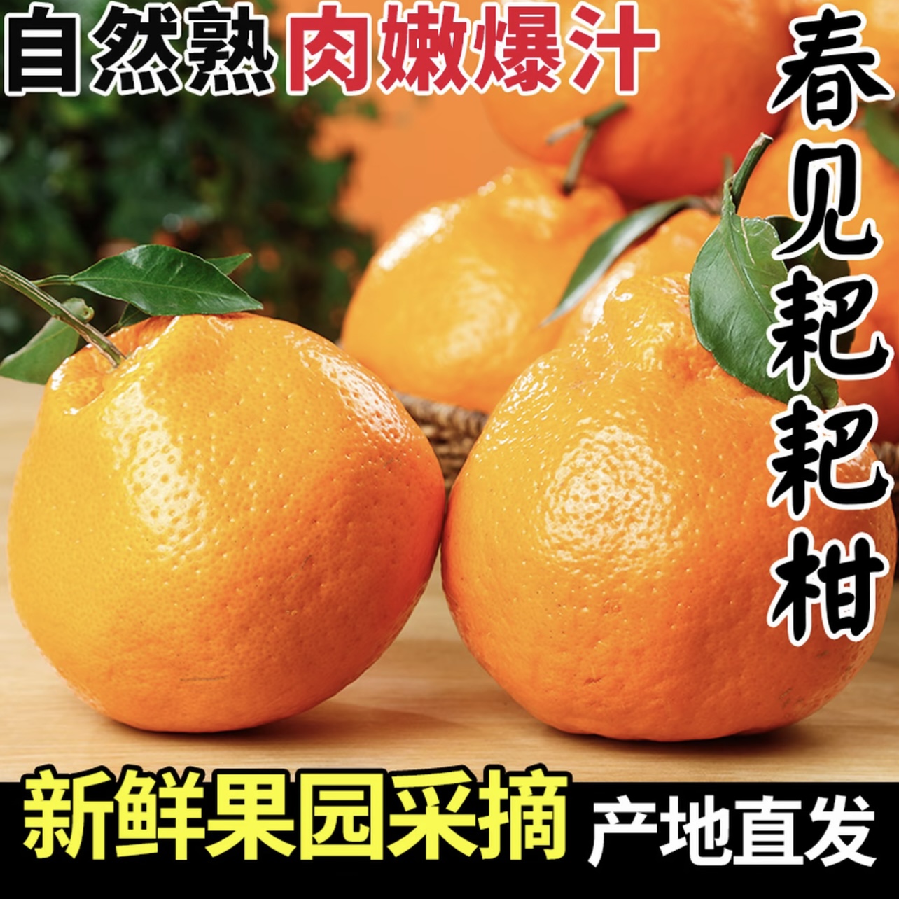 四川春见耙耙柑新鲜水果当季特甜多汁爽口