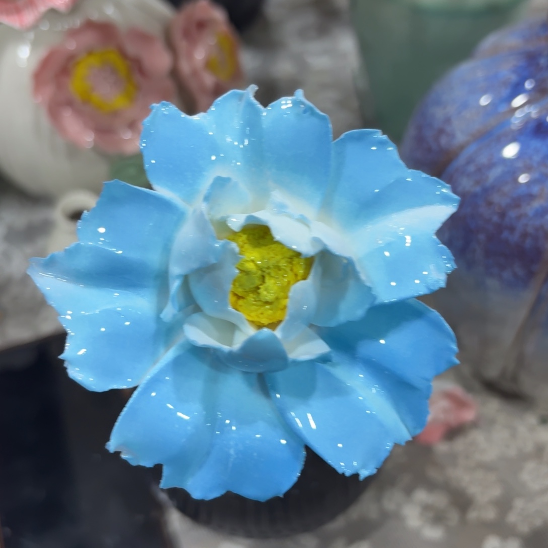 满20发货，陶瓷花退款拉黑