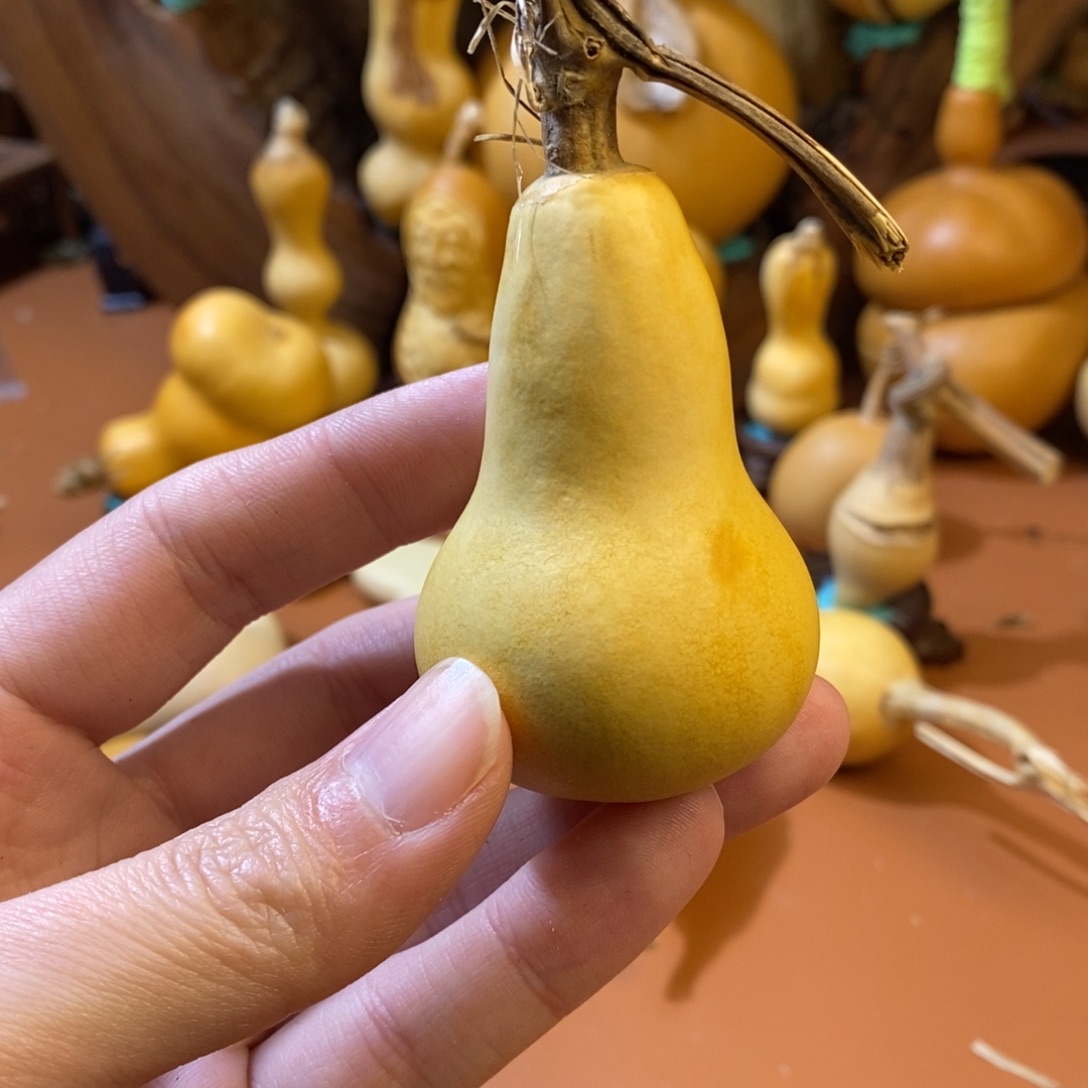 黑***Z哥哥教练教练经理