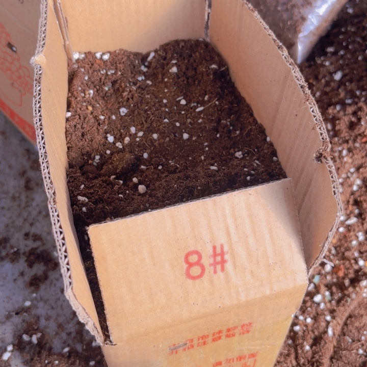 多肉泥碳颗粒土体验装8号箱1箱