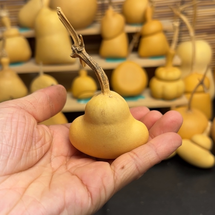 软****观葫芦葫芦葫芦葫芦葫芦葫芦