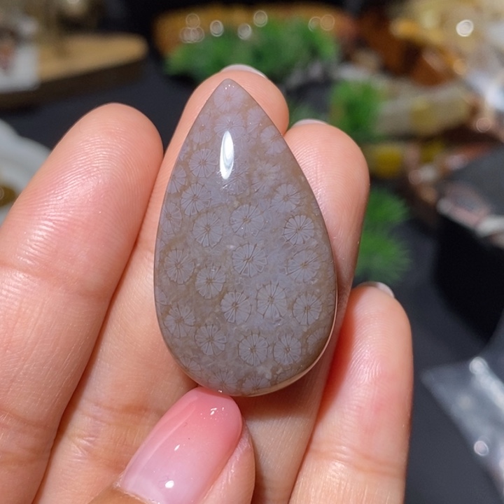 【闪购商品】未镶嵌珊瑚玉硅化玉