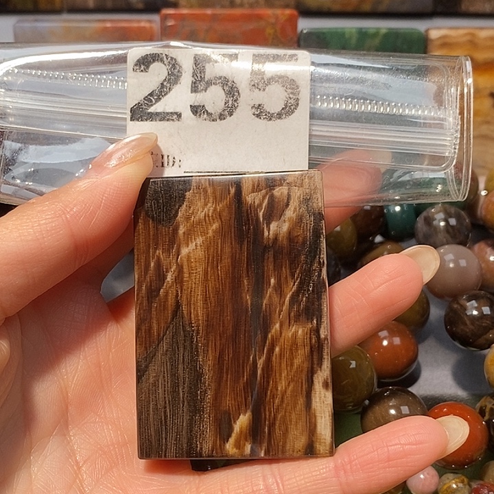 硅化玉未镶嵌天然北票树化玉吊坠