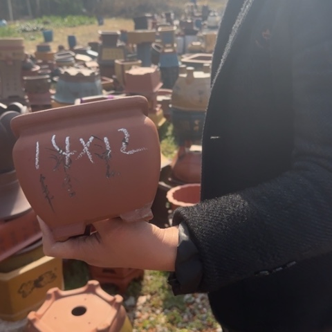 红陶紫砂花盆盆景盆栽