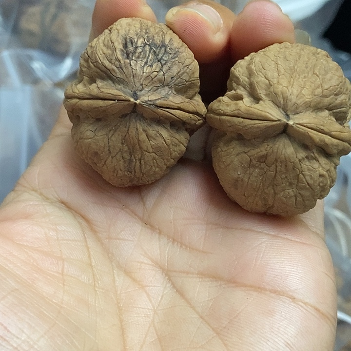 文玩核桃把件云南铁核桃基地10