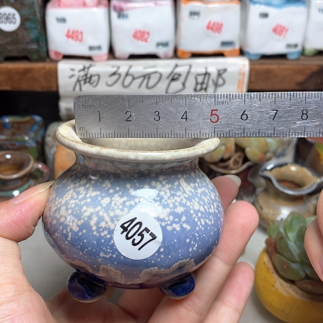 拍5送一个9· 9元的盆子