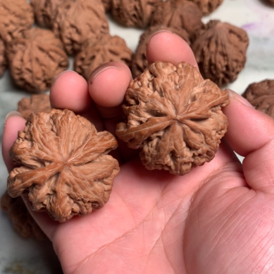 虫*文玩核桃手把件大粗筋
