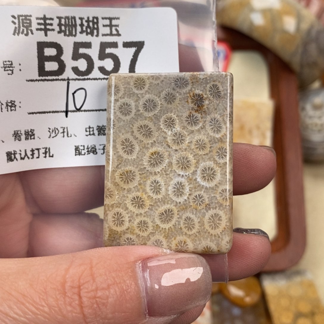 硅化玉颈饰未镶嵌牧*阳