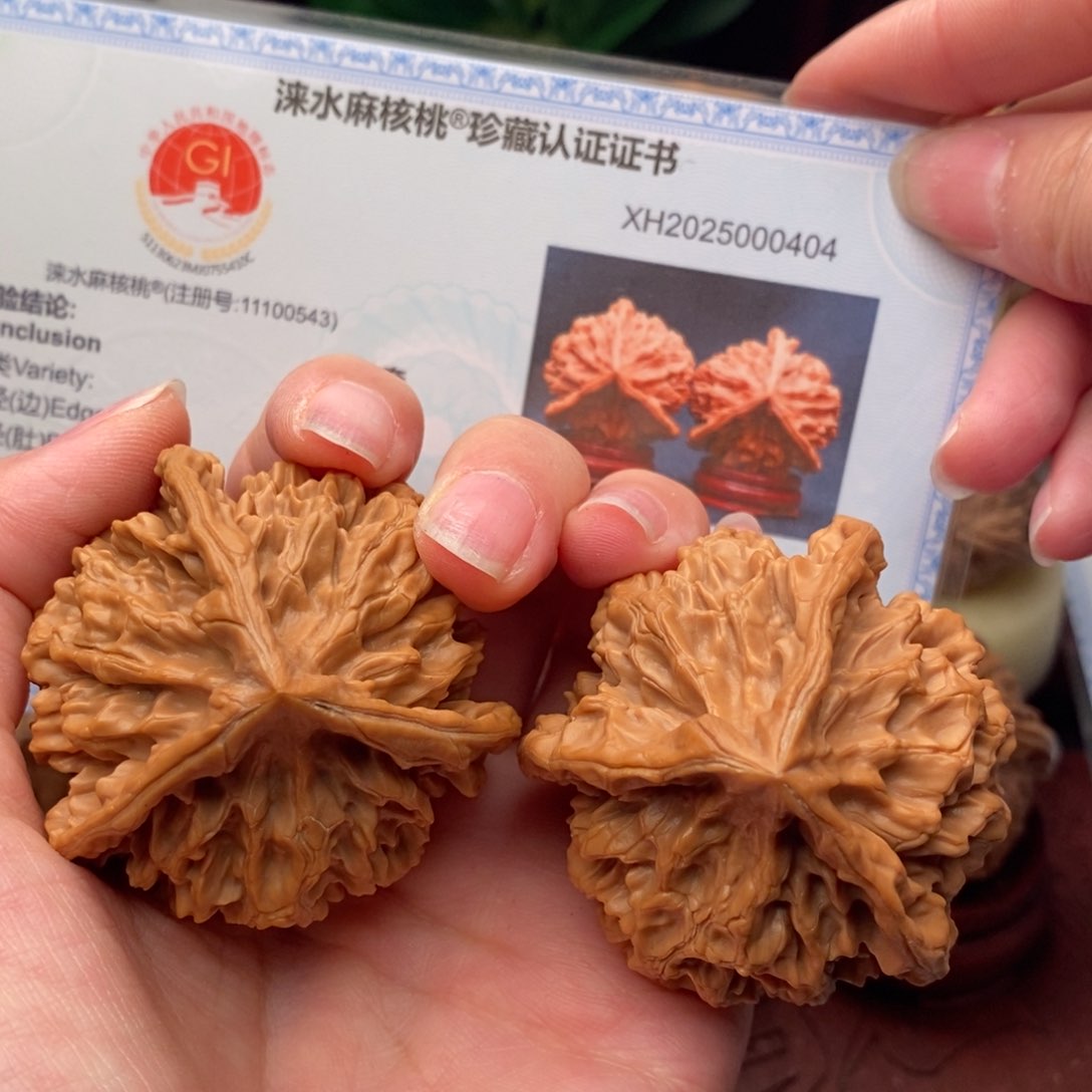 文玩核桃把件龙纹奔49