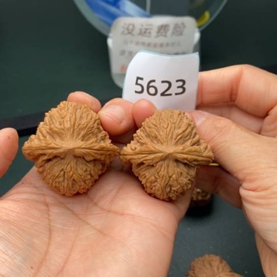把件文玩核桃41.5凹底南疆石5623
