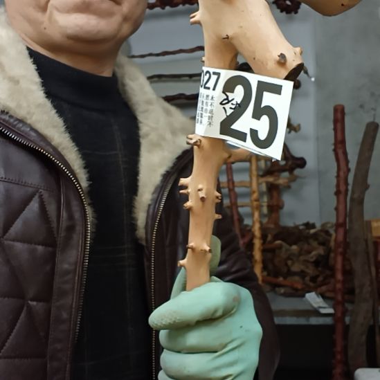 志***节香榧木高山 檬子木文玩料