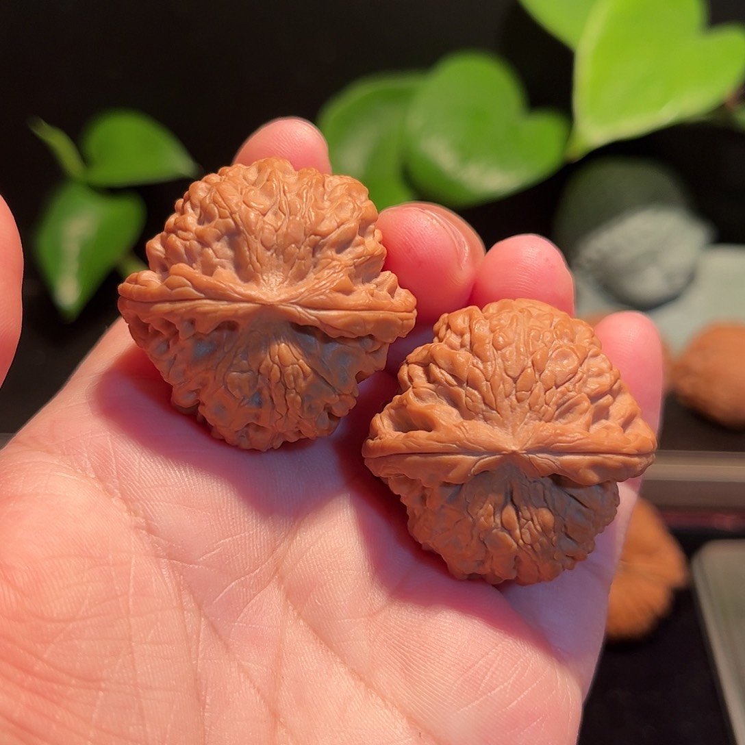 【闪购商品】文玩核桃把件37龙眼全品