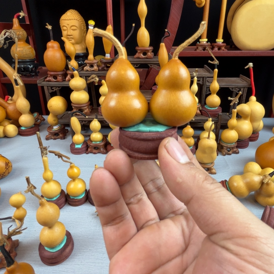 冰***瑚藤木我的小可爱，一点也不像个女孩