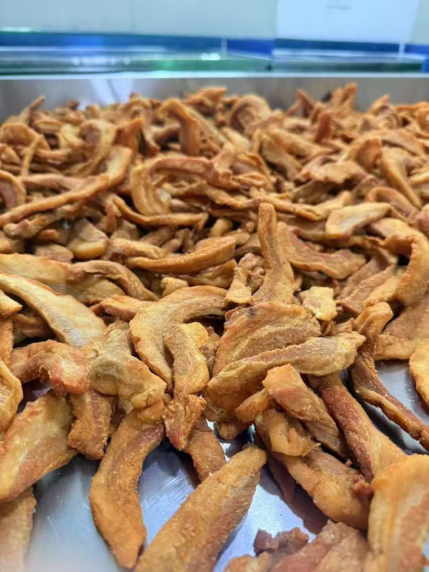福建特产闽南古早味猪肉脯半斤一斤