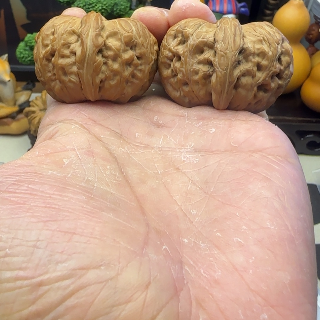 吊坠文玩核桃全品翘肩海豚头元宝，无修无裂无虫眼