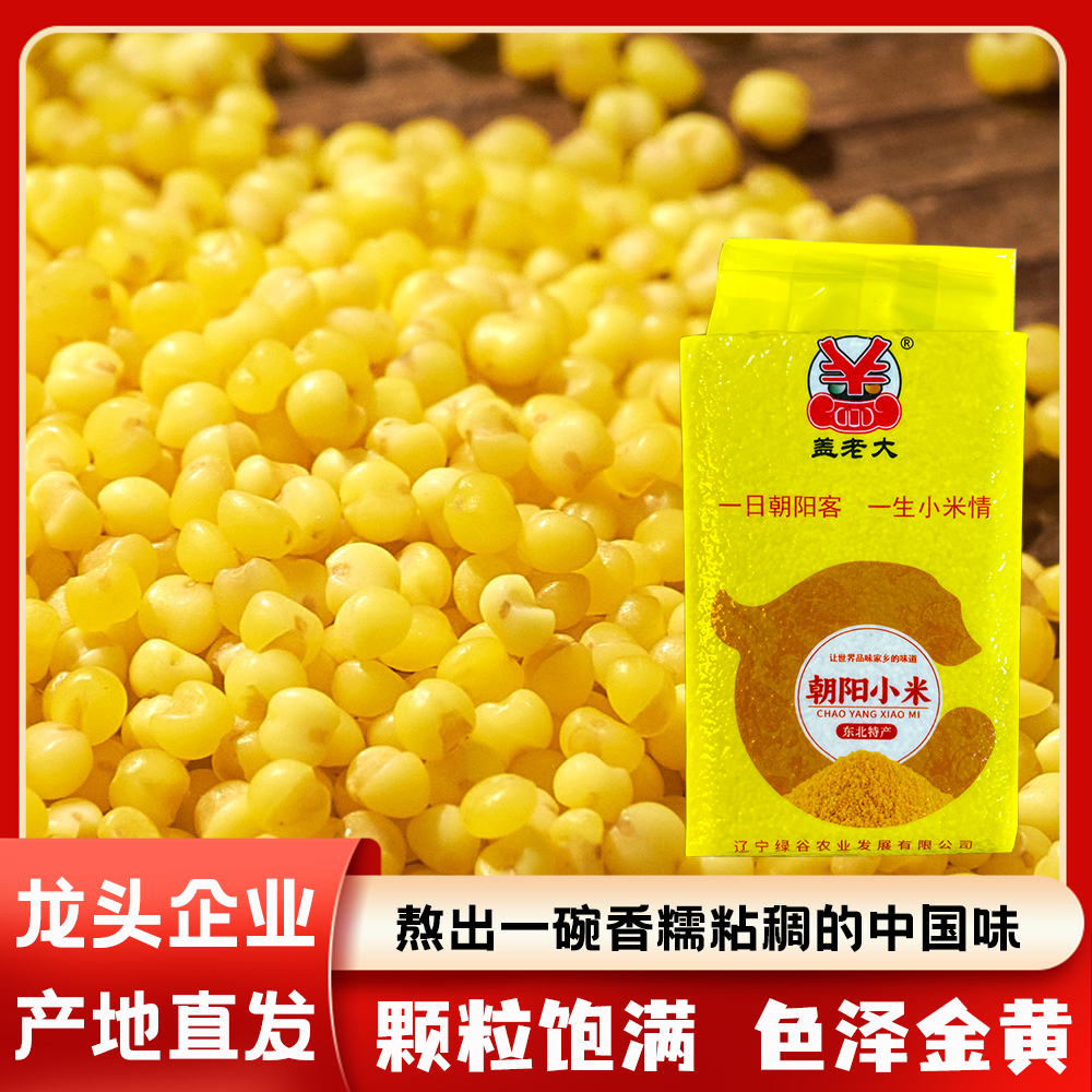 朝阳黄小米 新米 东北特产小米杂粮 早餐小米粥 月子米米油厚