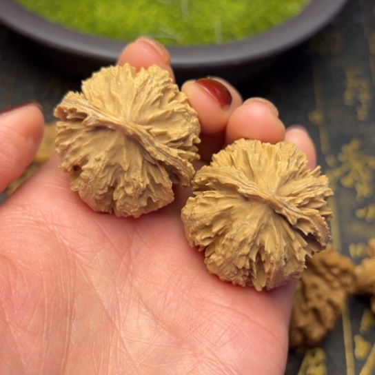 文玩核桃把件秦岭核桃15