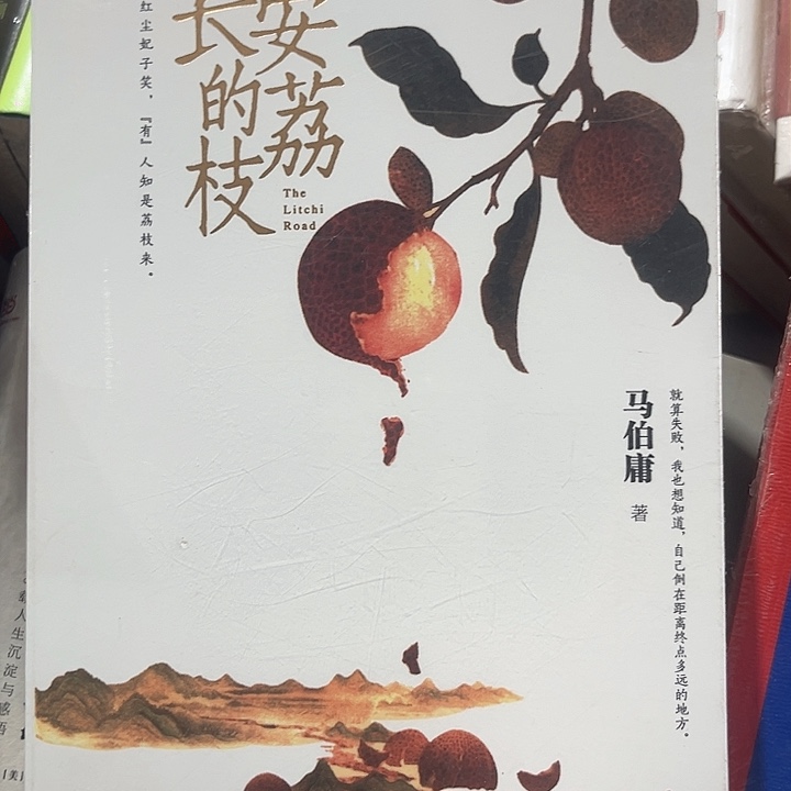 长安的荔枝全新推荐