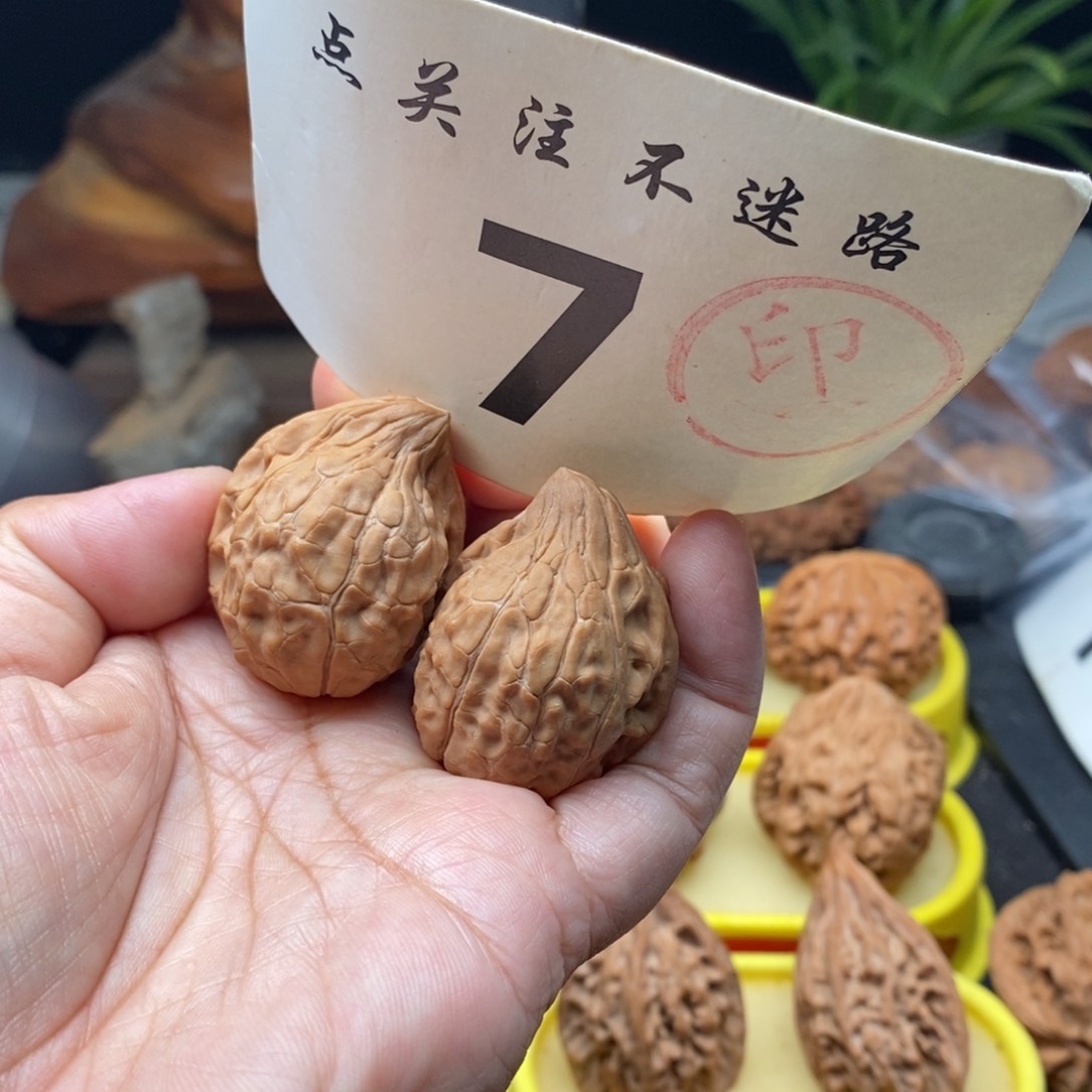 把件文玩核桃龟甲半臂
