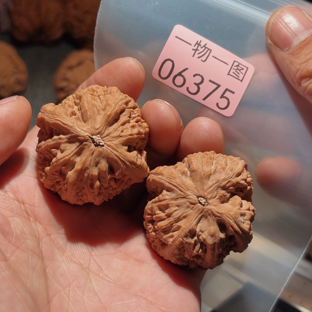 文玩核桃把件御尊
