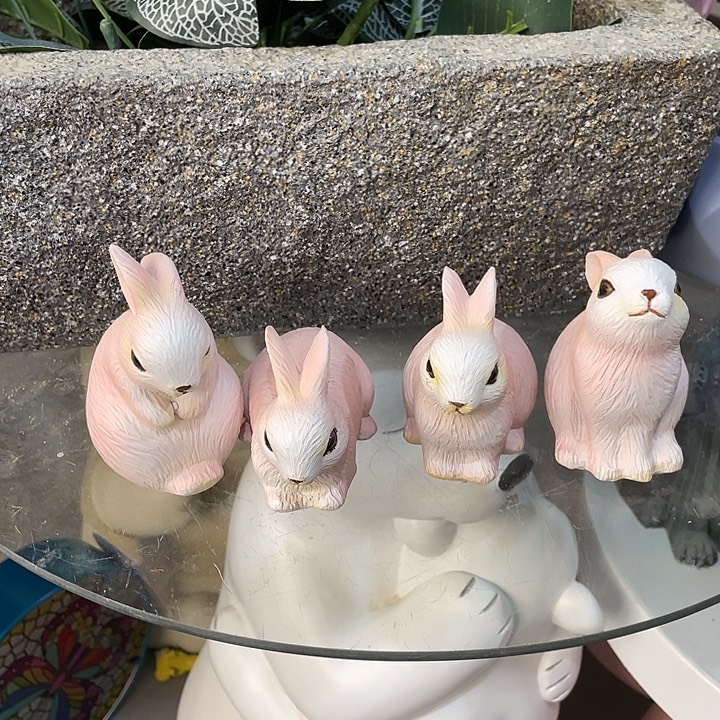 树脂样品样品样品玉兔