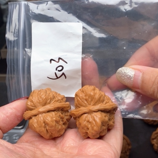 桃核吊坠503蛙蛙蛙蛙