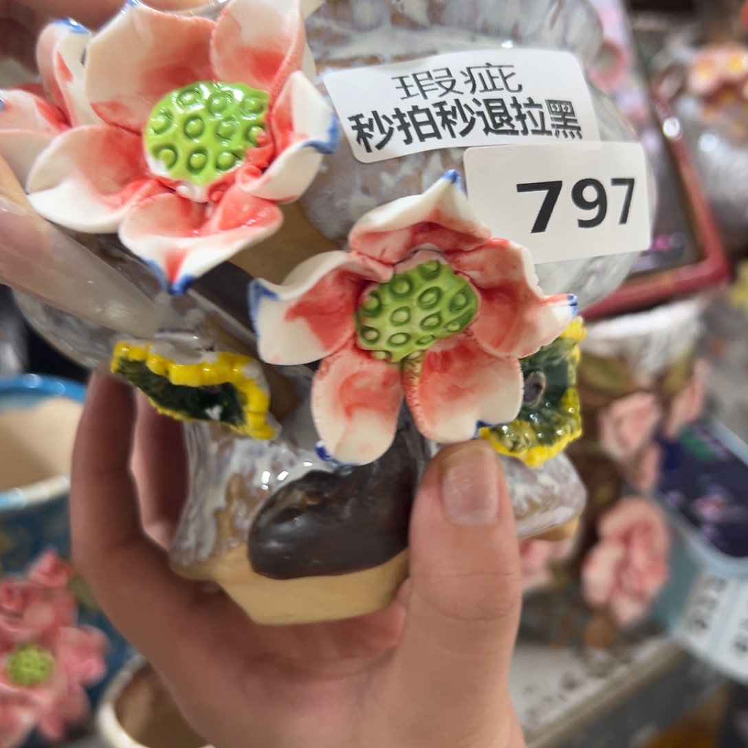 797瑕疵爱退拉黑多肉满20发货