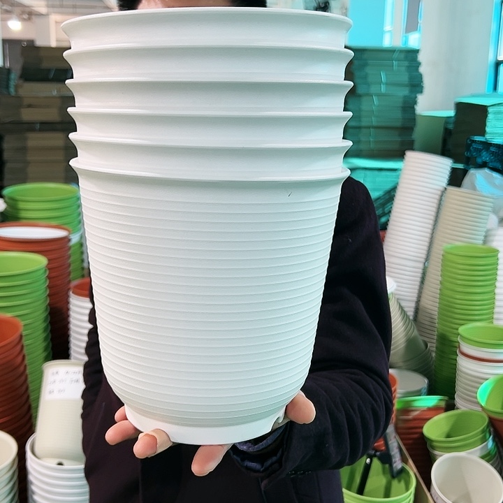 正品高陶口21高21白色无托6个