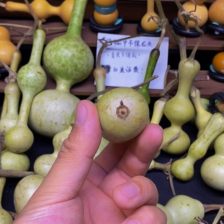 皮****粥长嘴哈哈哈哈哈哈哈哈哈哈哈哈太