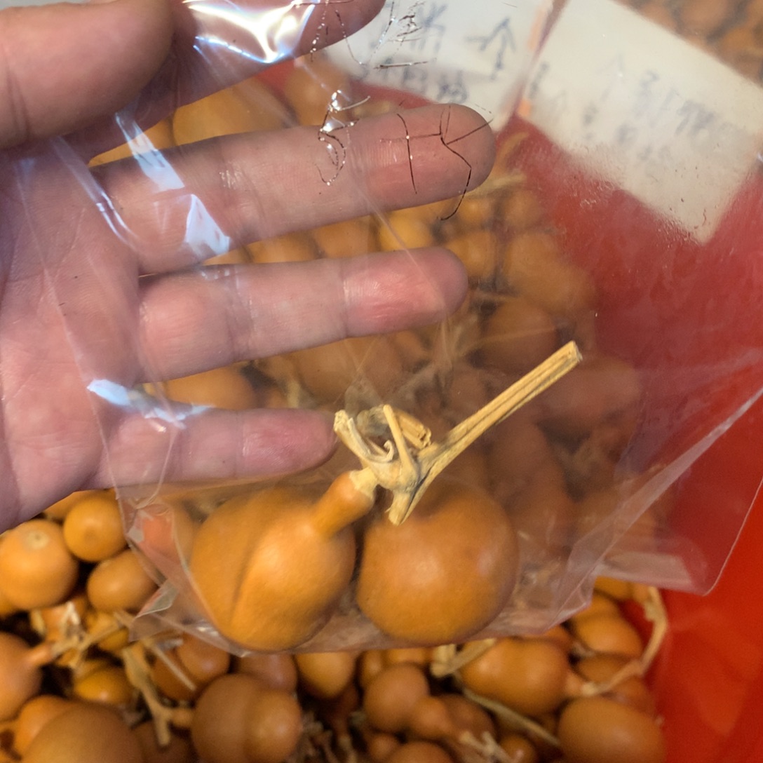 大***星葫芦葫芦巨鹿葫芦