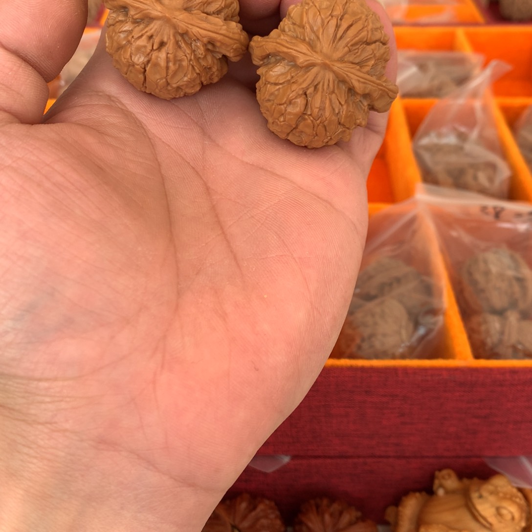 尺寸39甲骨文山地开荒打底