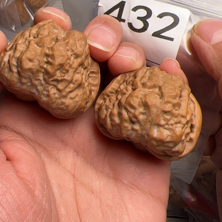 核桃40边40肚432号蛙