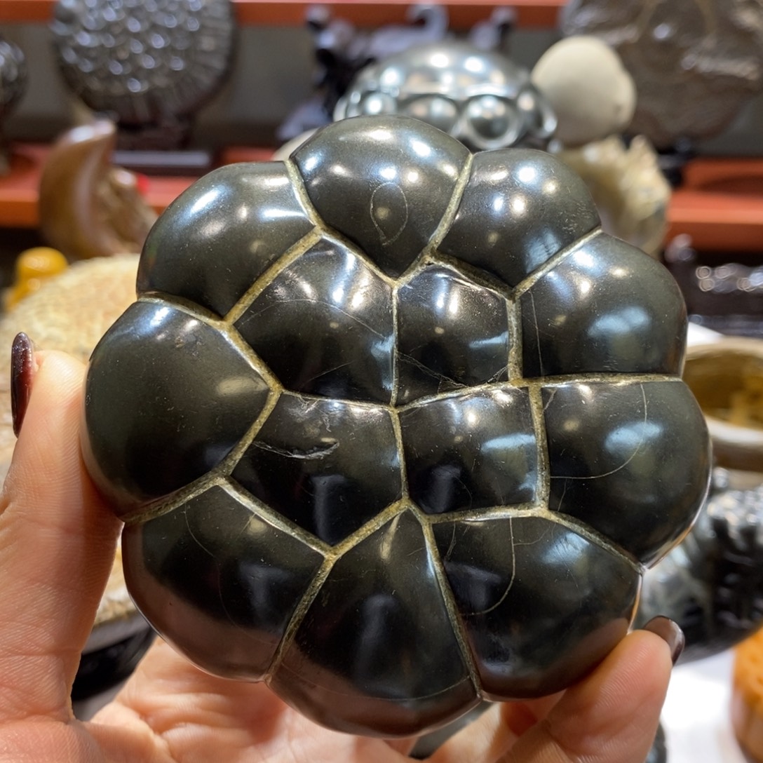 用***3羊羔毛龟纹石直播间