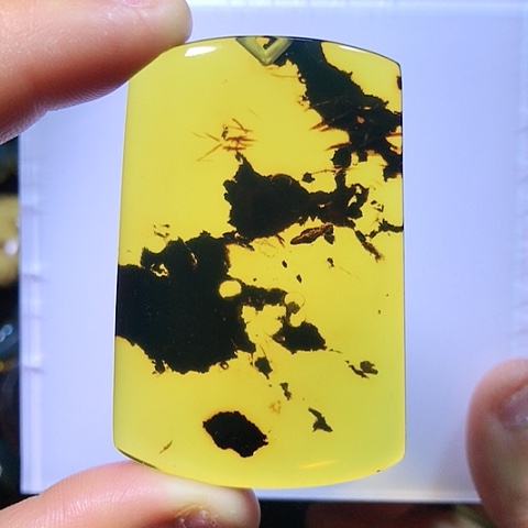 琥珀颈饰未镶嵌福利特色植物珀牌子重20.8克