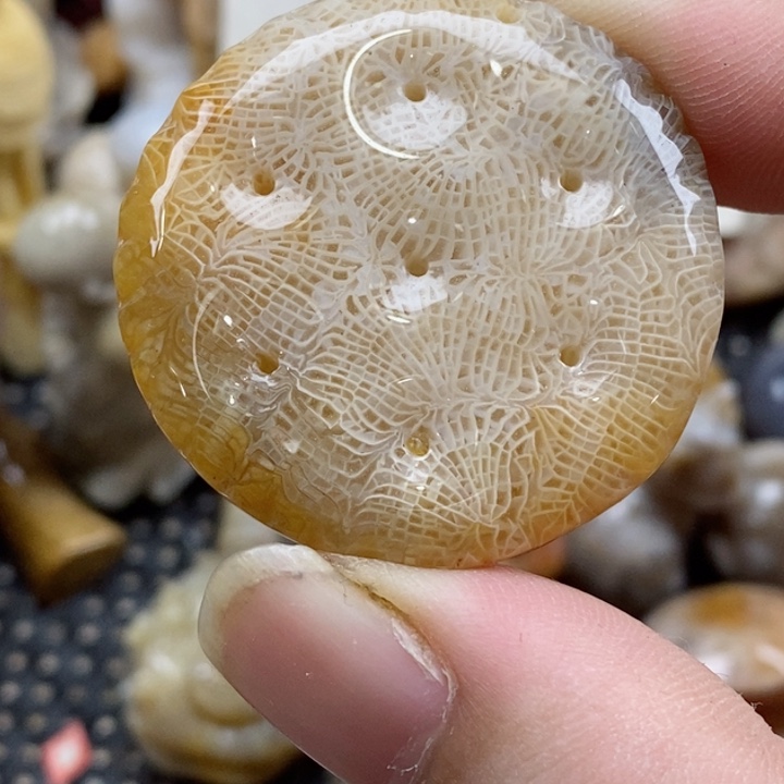 颈饰未镶嵌硅化珊瑚（珊瑚玉）