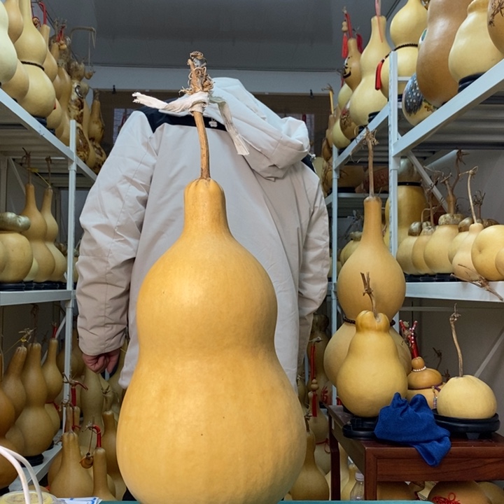 成***我葫芦可以拍了啊啊