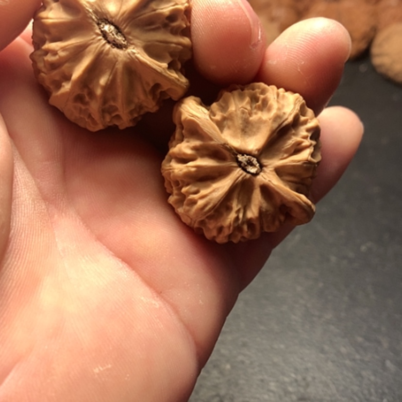 【闪购商品】文玩核桃吊坠拽****范宫灯