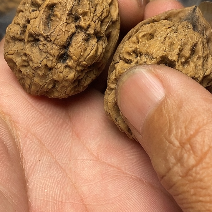 把件文玩核桃志成云铁文玩31