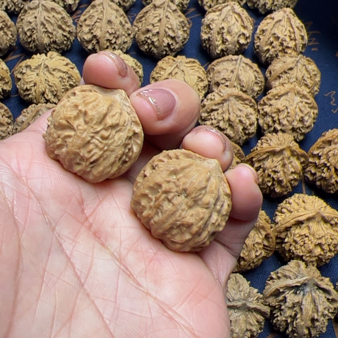 文玩核桃把件秦岭野生植物核桃