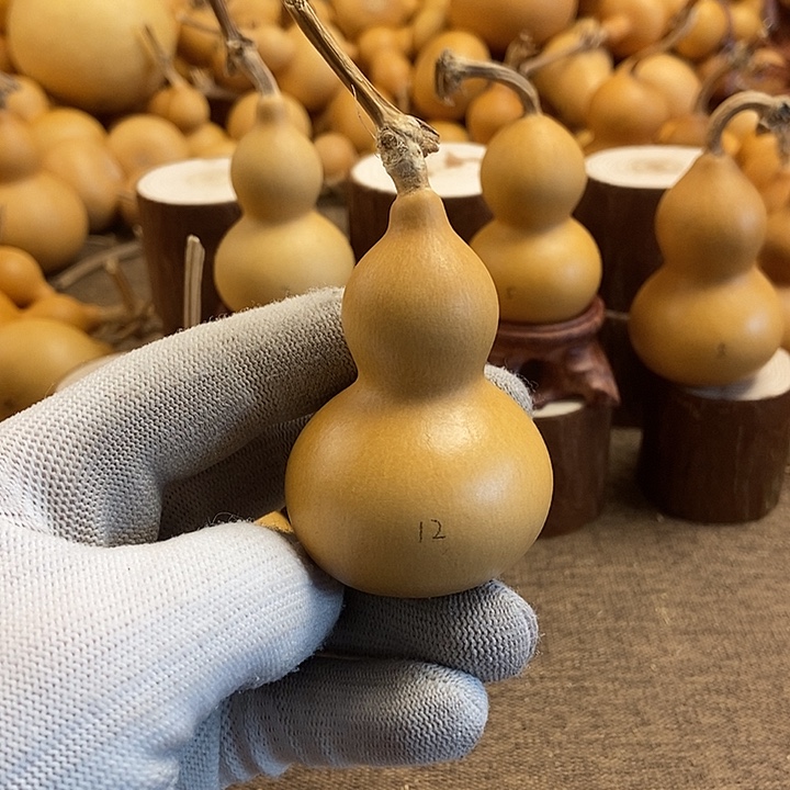 文玩葫芦 完美主义者 慎拍12