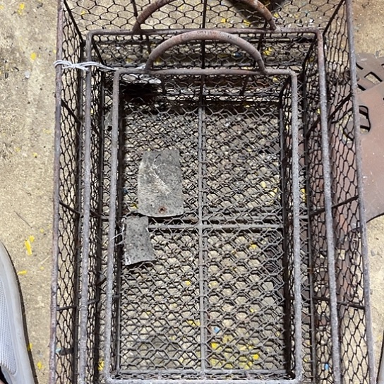 哈哈我也是很喜欢的呢