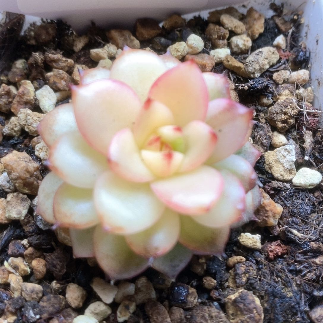 D049哈哈哈哈哈哈哈哈哈哈