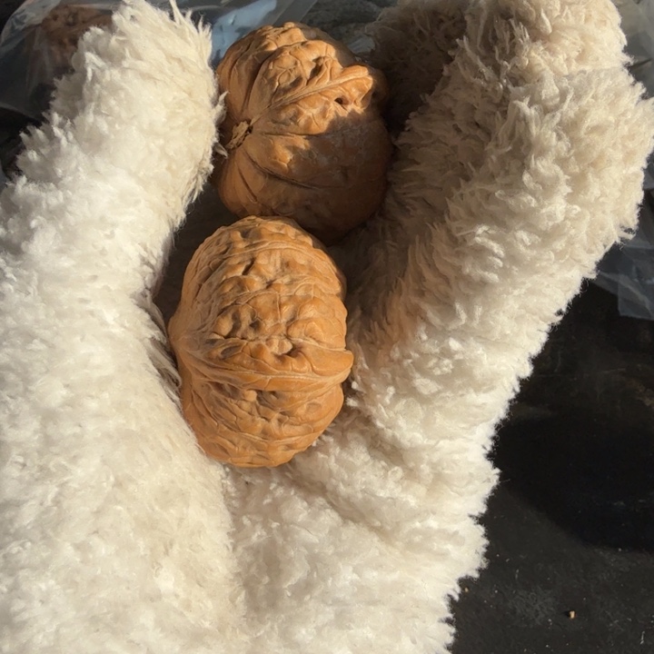 吊坠文玩核桃南瓜墩