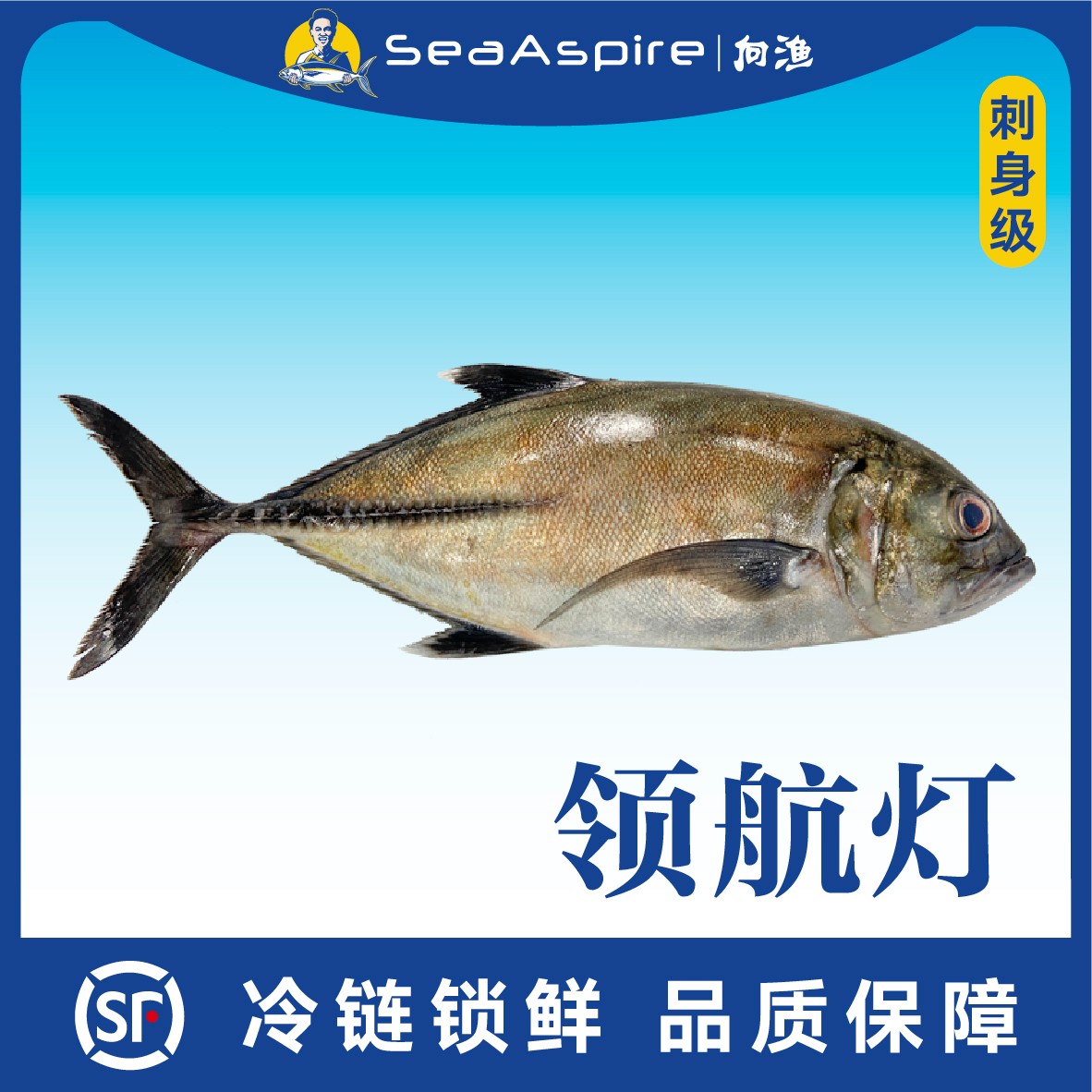【领航灯】深海野钓鱼（整鱼）海钓鱼刺身生鲜食品
