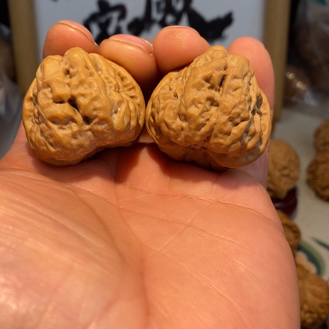 文玩核桃把件36尺全品蛤蟆头