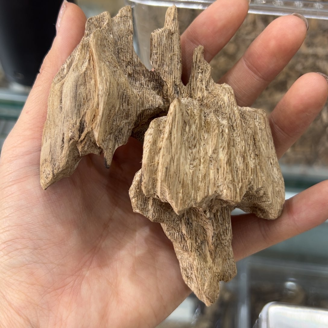 【闪购商品】香榧木木*木艺品海南大山虎斑棋原料30克