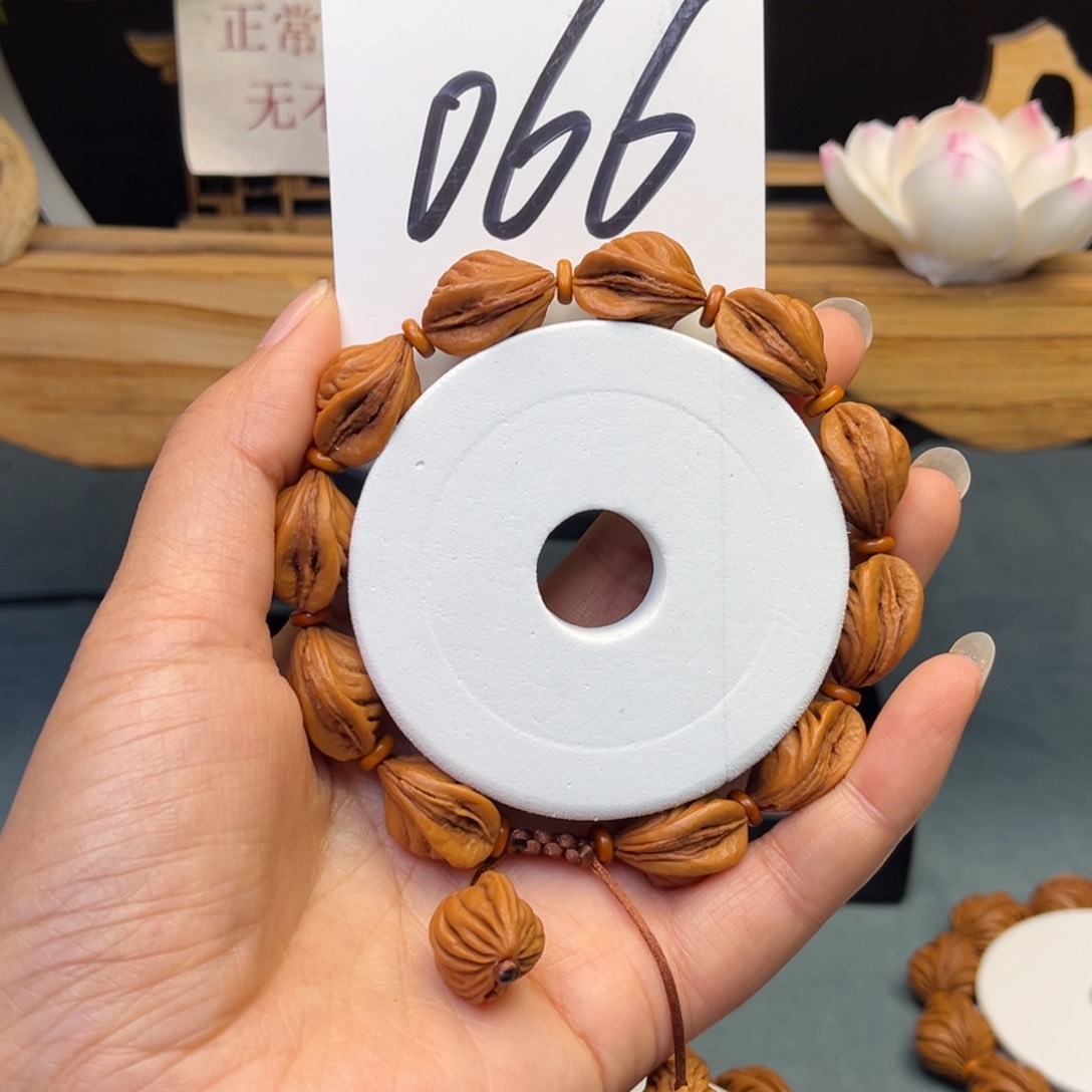 桃核手串生命s x f g h