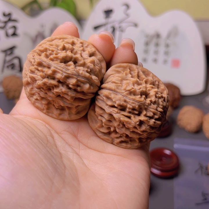 核桃专用链接，四座楼42