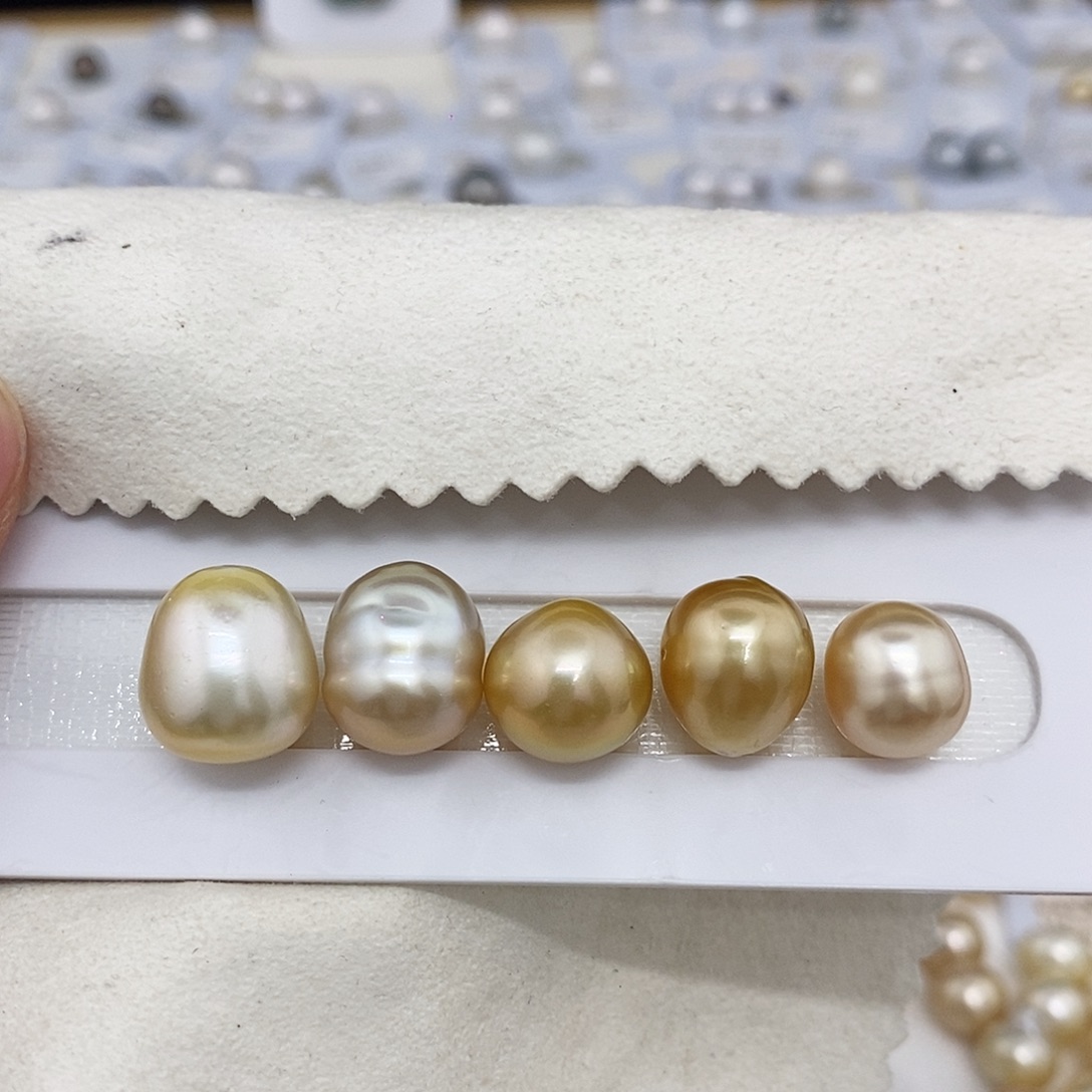 白***相海水珍珠耳饰未镶嵌金珠5颗（无鉴赏）